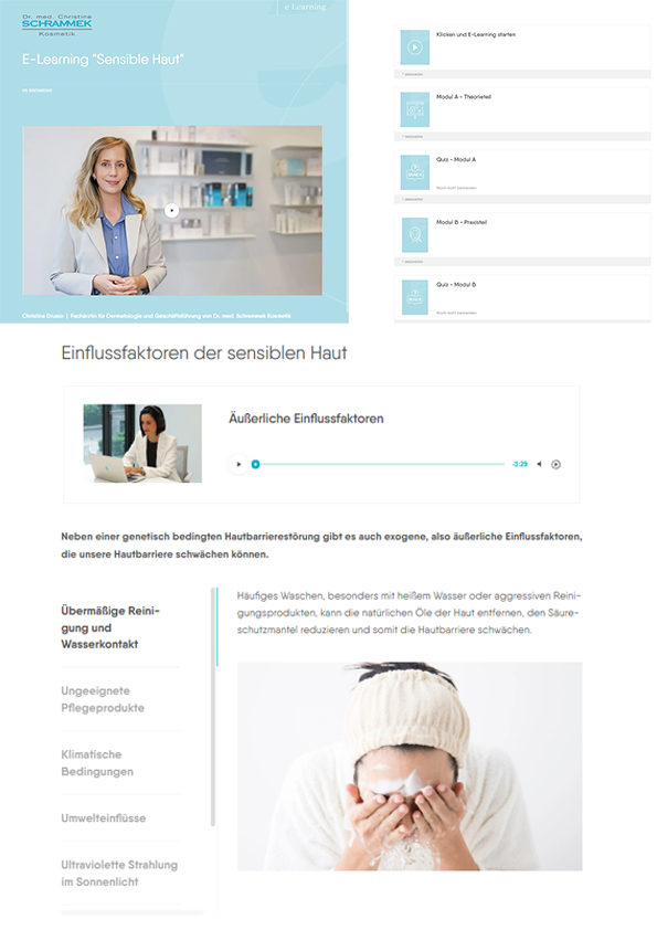 E-Learning Kurs Sensible Haut